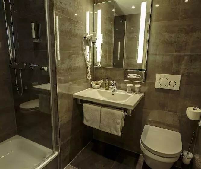 Standard Yhden Hengen Huone, Parkhotel Güldene Berge