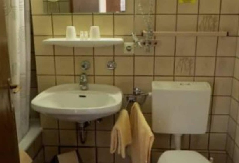 스탠다드 싱글 룸, Pti Hotel Eichwald