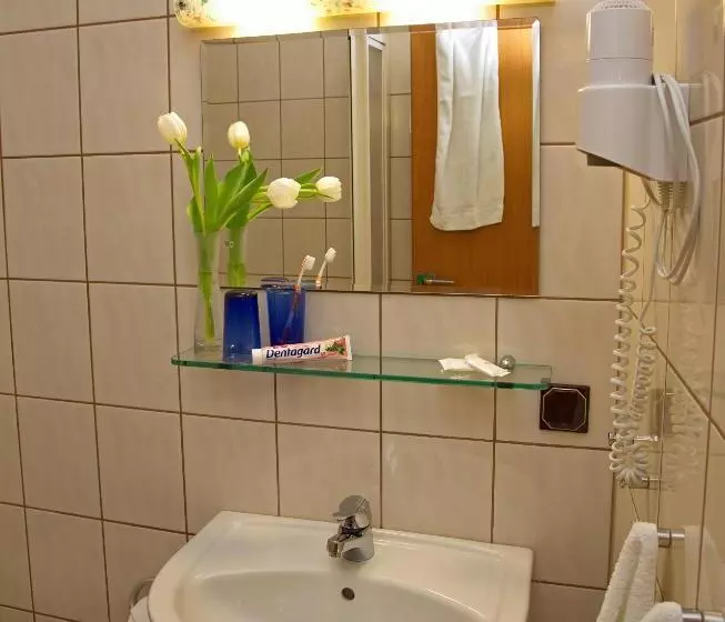 اتاق استاندارد یک نفره, Stadtcafé Hotel Garni