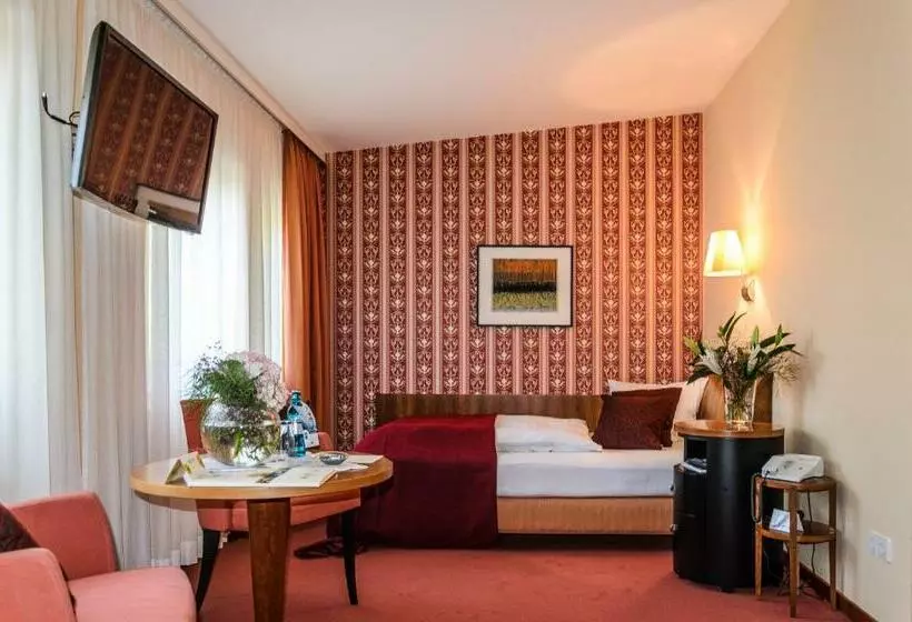スタンダードシングルルーム, Akzent Hotel Goldner Hirsch