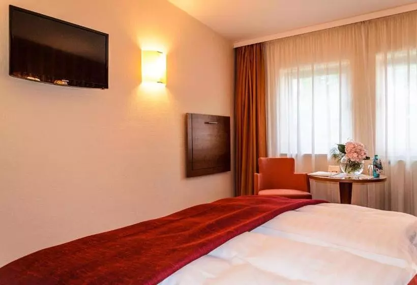 スタンダードルーム, Akzent Hotel Goldner Hirsch