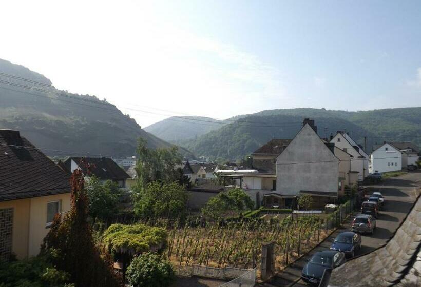 标准单人间, Pension Winzerhaus Haas Lenz Zell Mosel
