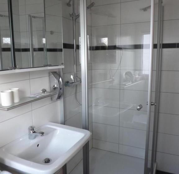 标准间, Pension Winzerhaus Haas Lenz Zell Mosel