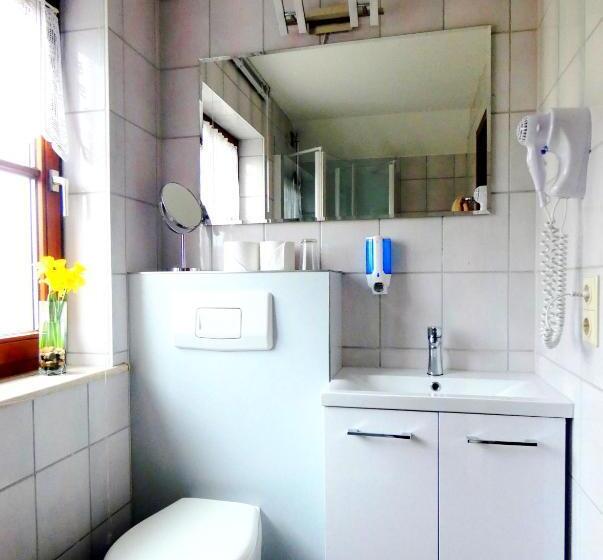 スタンダードシングルルーム, Schlossgartenpassage