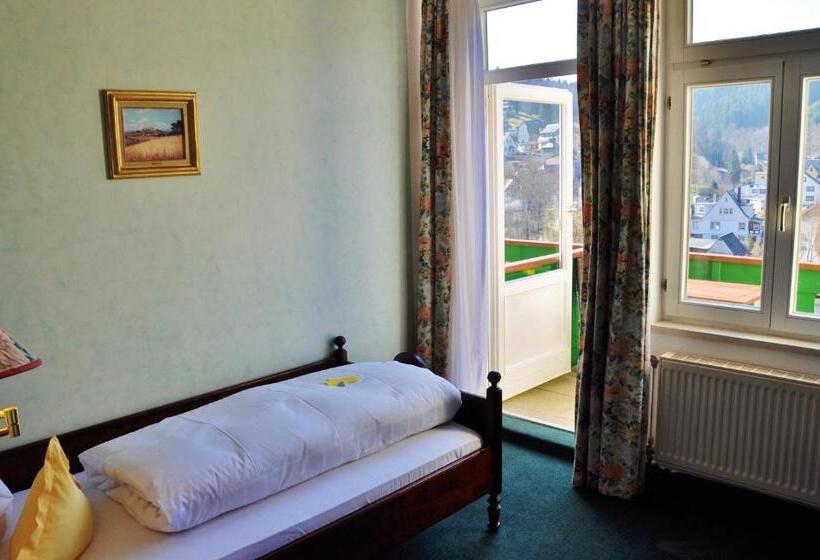 수피리어 싱글 룸, Flair Hotel Waldfrieden