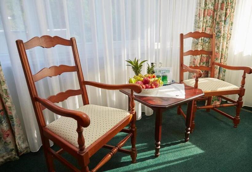 デラックスルーム, Flair Hotel Waldfrieden