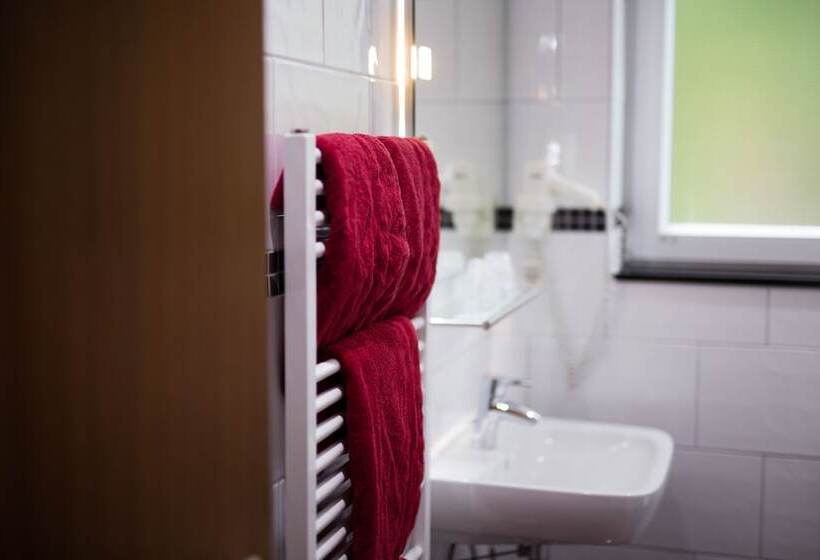 Номер Стандарт, Am Sportpark