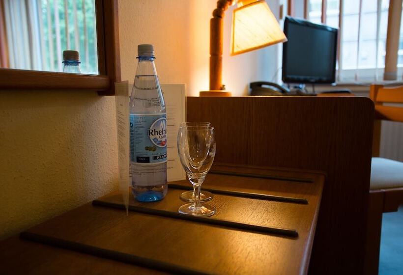 Номер Стандарт, Am Sportpark