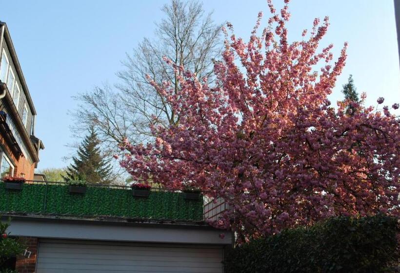 Апартаменты Deluxe 1 Спальня, Am Sportpark