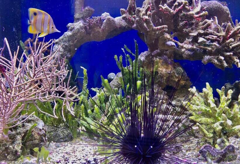 バルコニー付きシングルスタンダードルーム, Bb Bahnhof Bertsdorf