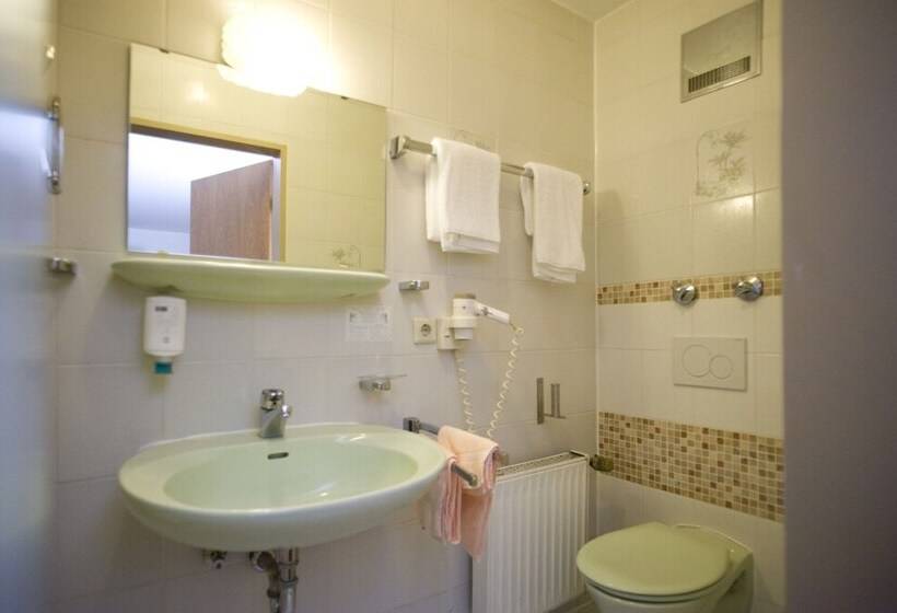 스탠다드 싱글 룸, Flora