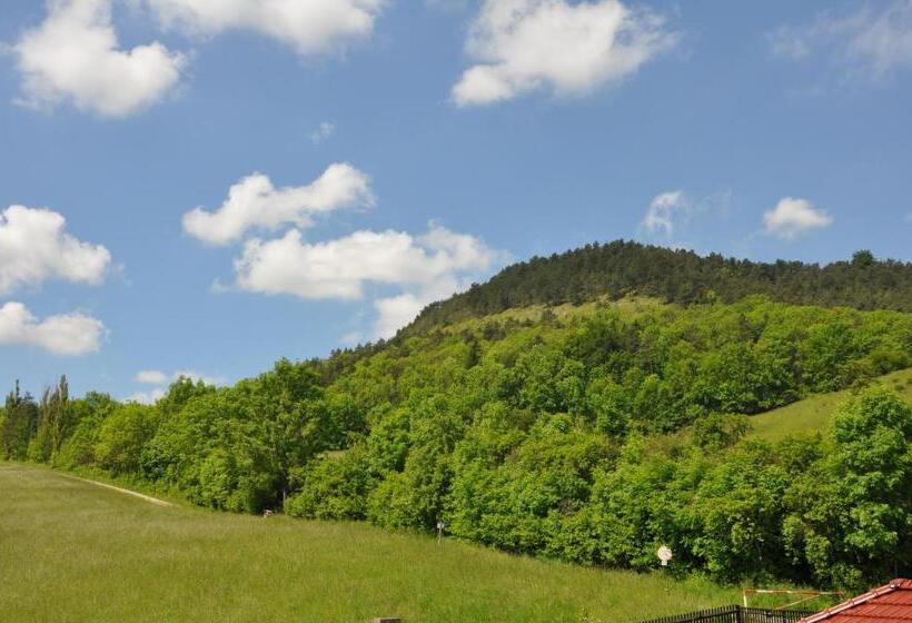 Номер Стандарт Индивидуальный, Haus Orchideental Jena