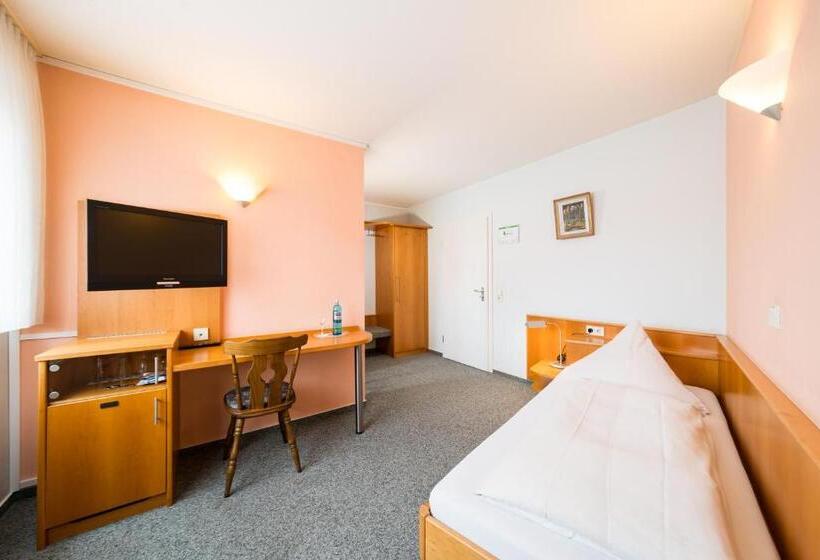 スタンダードトリプルルーム, Vater Rhein