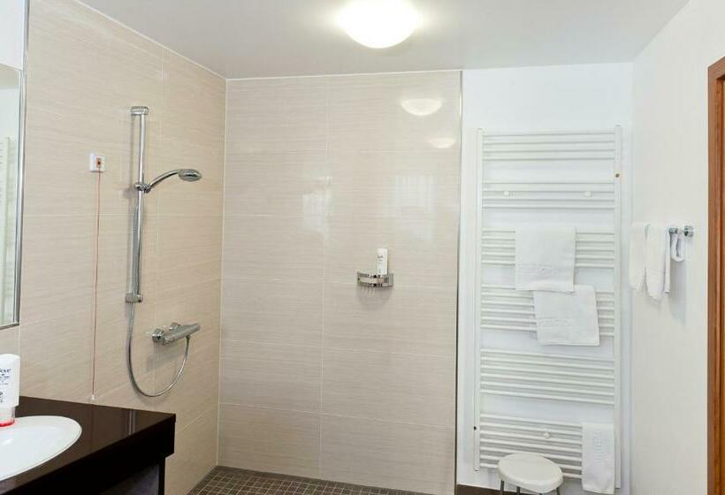 חדר סטנדרט יחיד, Komforthotel Butjadinger Tor