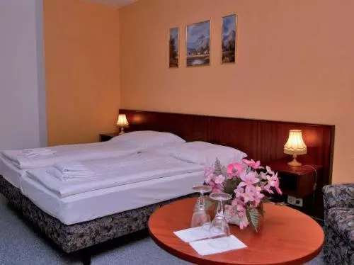 スタンダードルーム, Landhotel Alt Jocketa