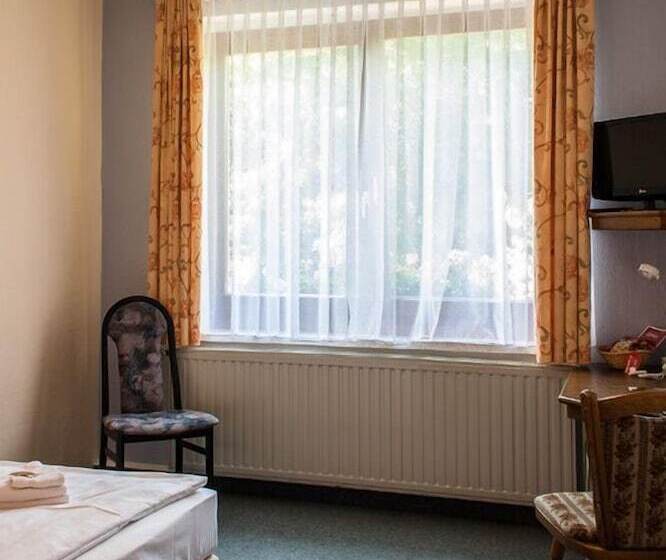 スタンダードシングルルーム, Landhotel Alt Jocketa