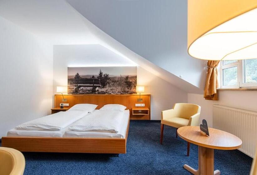 Номер Economy, Gasthof Hüttensteinach