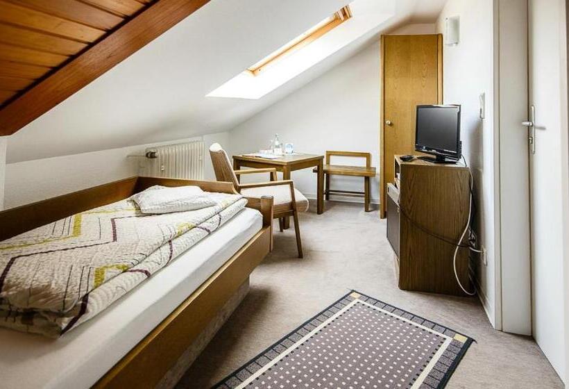 스탠다드 싱글 룸, Villa Bruderfels, Garni