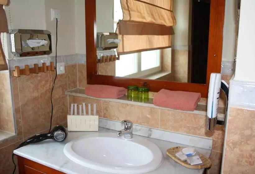 ビジネスルーム, Art Hotel Neckar