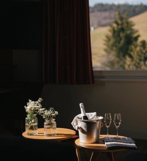 جناح جونيور مزوَّد بشرفة, Berghotel Wiedener Eck