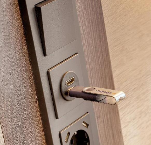 ダブルベッドのスタンダードシングルルーム, Newton Ludwigshafen