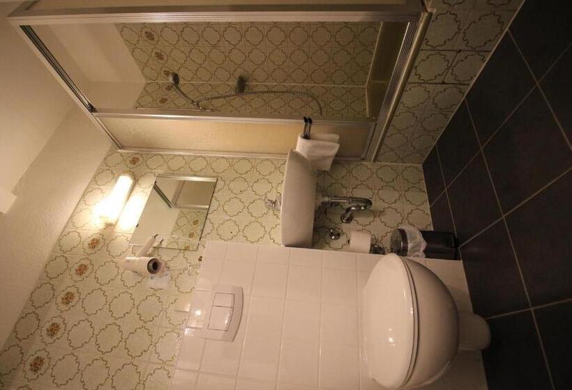 غرفة قياسية فردية, Garni Zur Linde