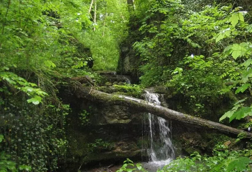 Standard Yhden Hengen Huone, Krone Stühlingen   Das Tor Zum Südschwarzwald