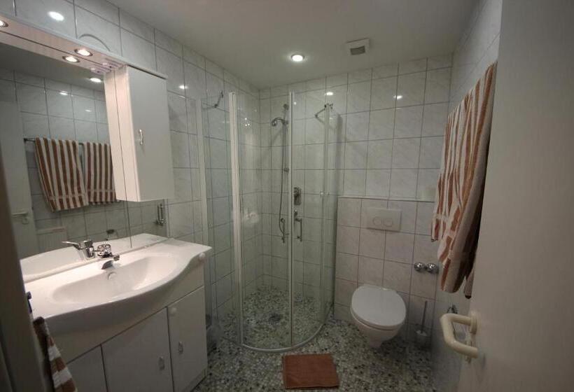 Standard Yhden Hengen Huone, Krone Stühlingen   Das Tor Zum Südschwarzwald