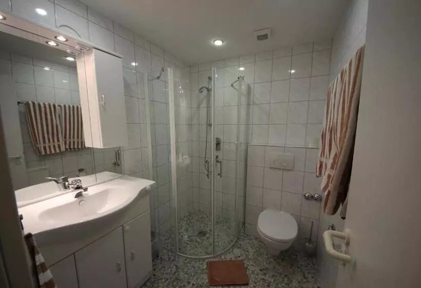 Standard Yhden Hengen Huone, Krone Stühlingen   Das Tor Zum Südschwarzwald