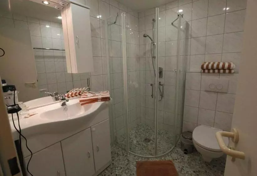 Standard Yhden Hengen Huone, Krone Stühlingen   Das Tor Zum Südschwarzwald