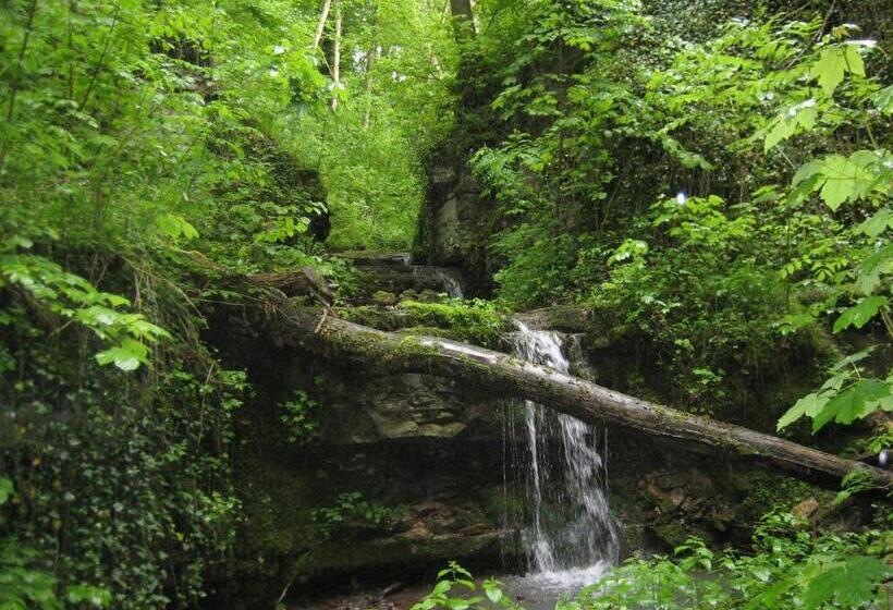 Standard-huone, Krone Stühlingen   Das Tor Zum Südschwarzwald