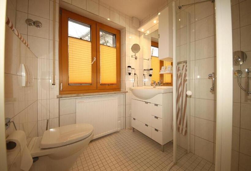 Standard-huone, Krone Stühlingen   Das Tor Zum Südschwarzwald