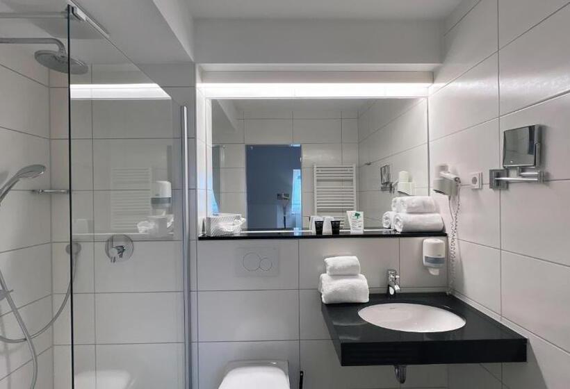 带双人床的基本房间, & Restaurant Goldener Pflug