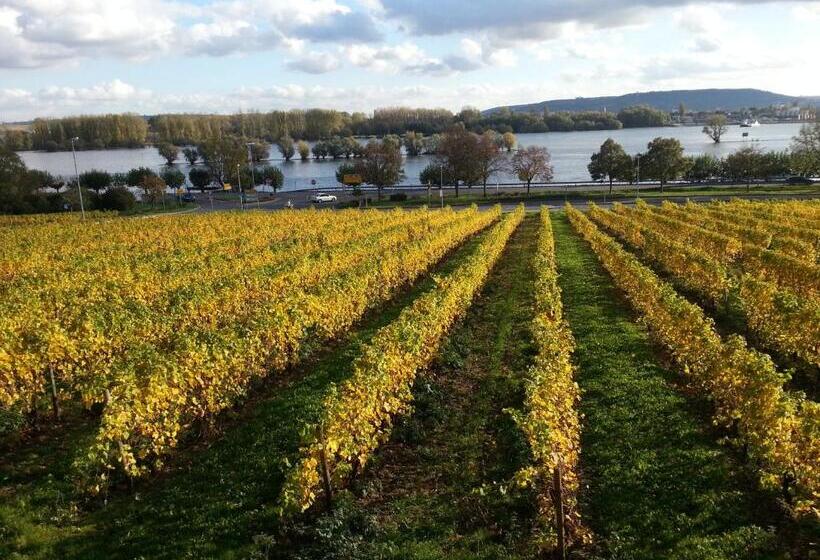 Номер Стандарт Вид на Реку, Ruthmann Rheinblick Garni