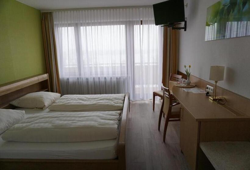 Номер Стандарт с Балконом, Ruthmann Rheinblick Garni