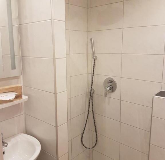 Номер Economy Индивидуальный, Schweizer Stubb