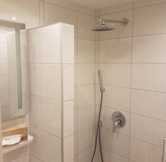 Номер Стандарт, Schweizer Stubb