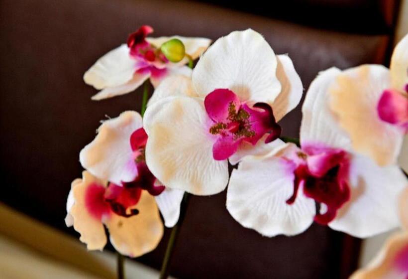 غرفة قياسية مزوَّدة بشُرفة, Tannenhof