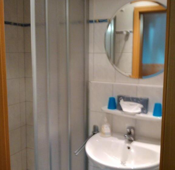 标准单人间, Zur Mühle