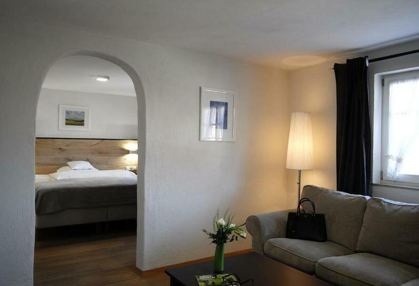 スタンダードシングルルーム, Gasthof Wäscherschloss