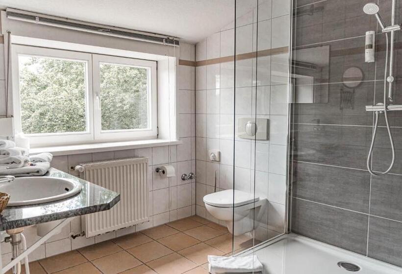 חדר סופריור, Wellness  & Sporthotel Haus Am See