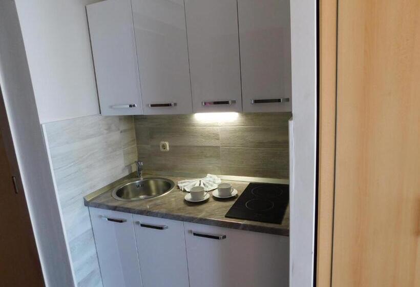 إستوديو قياسى مطل على البحر, Beach Villa Bozikovic