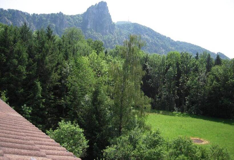 חדר סטנדרט עם מרפסת, Pension Nocksteinblick