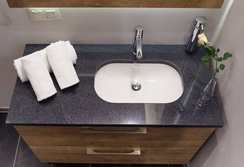 غرفة قياسية, Boutique Hotel Sosnowiec