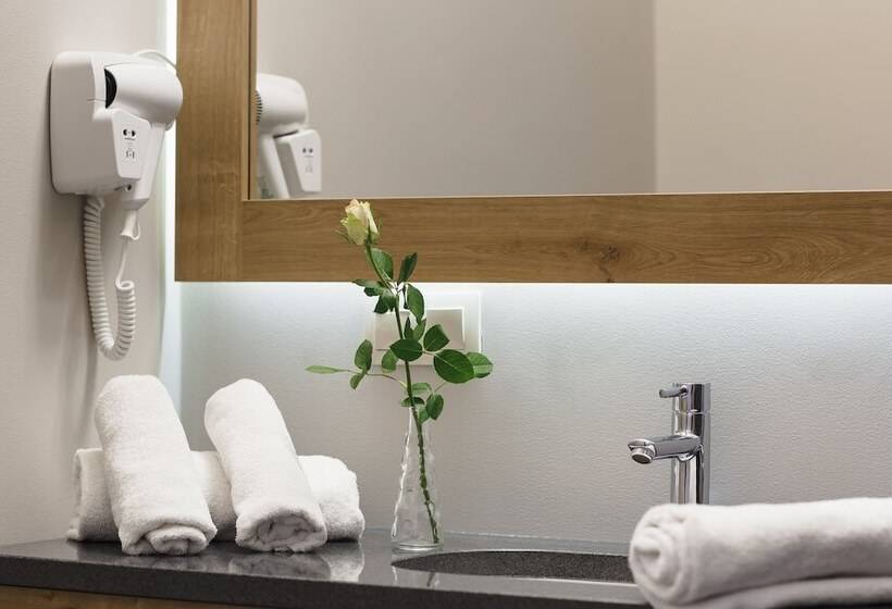 غرفة قياسية, Boutique Hotel Sosnowiec