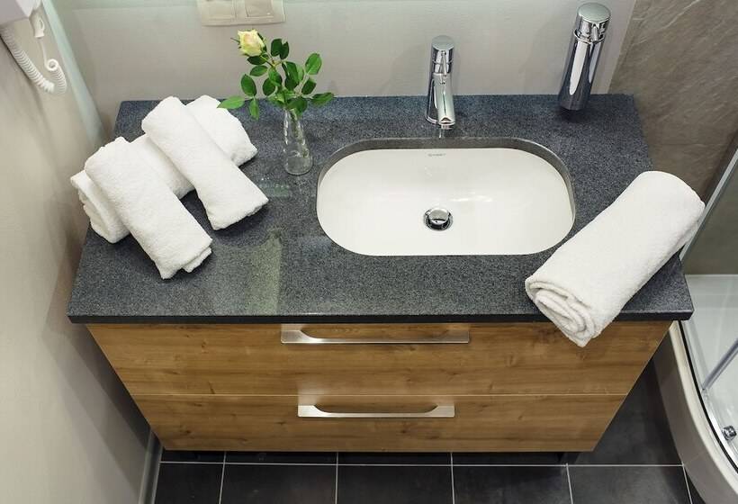 غرفة قياسية, Boutique Hotel Sosnowiec