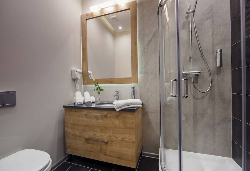 غرفة قياسية, Boutique Hotel Sosnowiec