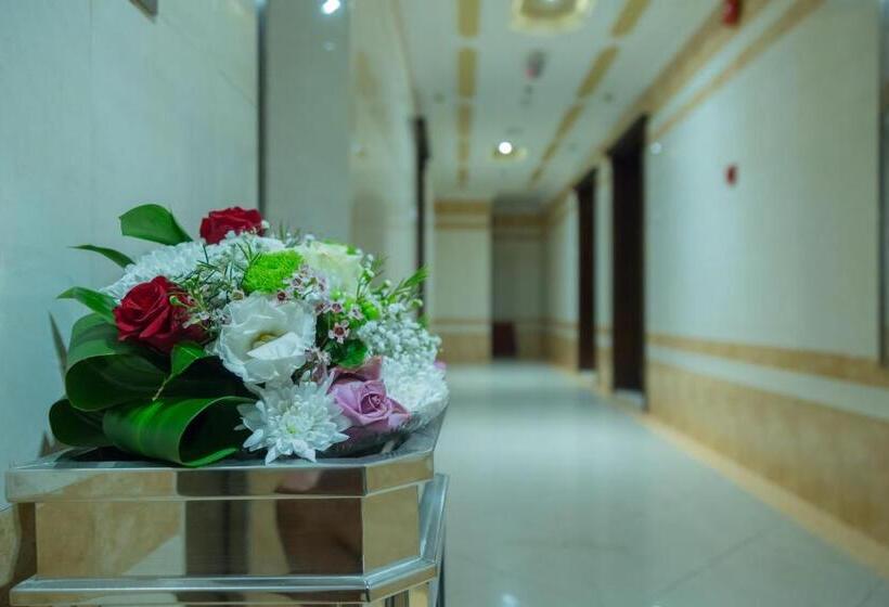 수피리어 룸, Dream Palace