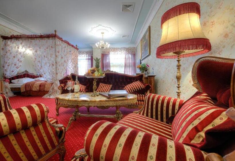 １ベッドルームのデラックスアパートメント, Dworek Hetmanski