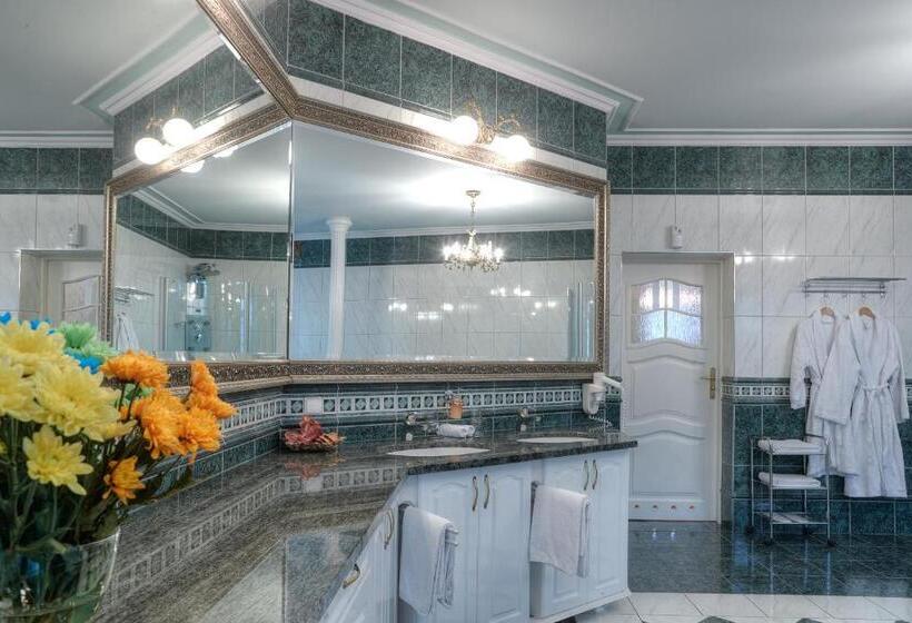 带1个卧室的豪华公寓, Dworek Hetmanski